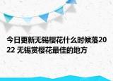 今日更新无锡樱花什么时候落2022 无锡赏樱花最佳的地方