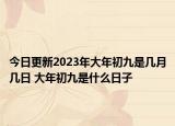 今日更新2023年大年初九是几月几日 大年初九是什么日子
