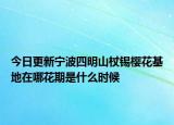 今日更新宁波四明山杖锡樱花基地在哪花期是什么时候