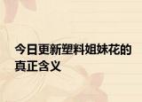 今日更新塑料姐妹花的真正含义