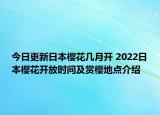 今日更新日本樱花几月开 2022日本樱花开放时间及赏樱地点介绍