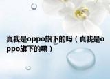 真我是oppo旗下的吗（真我是oppo旗下的嘛）