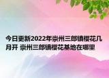 今日更新2022年崇州三郎镇樱花几月开 崇州三郎镇樱花基地在哪里