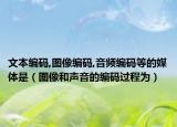 文本编码,图像编码,音频编码等的媒体是（图像和声音的编码过程为）