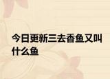 今日更新三去香鱼又叫什么鱼