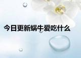 今日更新蜗牛爱吃什么