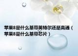 苹果8是什么基带英特尔还是高通（苹果8是什么基带芯片）