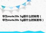 华为mate20x 5g版什么时候有（华为mate20x 5g版什么时候发布）