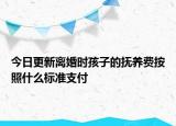今日更新离婚时孩子的抚养费按照什么标准支付
