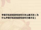 苹果手机发短信特效对方怎么看不到（为什么苹果手机发短信特效对方看不见）