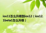 ios11怎么升级到ios12（ios12.1beta1怎么升级）