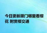 今日更新厦门哪里看樱花 附赏樱交通