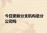 今日更新分支机构是分公司吗