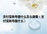 支付宝账号是什么怎么查看（支付宝账号是什么）