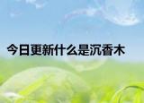 今日更新什么是沉香木