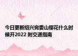 今日更新绍兴宛委山樱花什么时候开2022 附交通指南