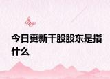 今日更新干股股东是指什么