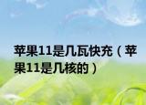 苹果11是几瓦快充（苹果11是几核的）