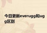 今日更新everugg和ugg区别