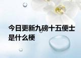 今日更新九磅十五便士是什么梗