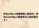 华为p40pro没有微信人脸支付（华为mate40pro微信支付人脸识别不了）