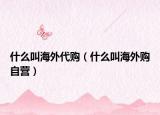 什么叫海外代购（什么叫海外购自营）