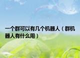 一个群可以有几个机器人（群机器人有什么用）