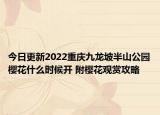 今日更新2022重庆九龙坡半山公园樱花什么时候开 附樱花观赏攻略