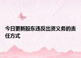 今日更新股东违反出资义务的责任方式