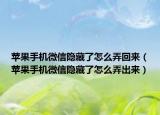 苹果手机微信隐藏了怎么弄回来（苹果手机微信隐藏了怎么弄出来）
