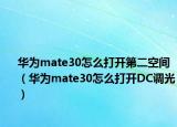 华为mate30怎么打开第二空间（华为mate30怎么打开DC调光）