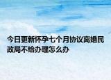 今日更新怀孕七个月协议离婚民政局不给办理怎么办