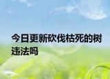 今日更新砍伐枯死的树违法吗