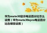 华为mate30显示电量百分比怎么设置（华为mate30epro电量百分比在哪里设置）
