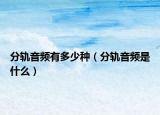 分轨音频有多少种（分轨音频是什么）