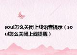 soul怎么关闭上线语音提示（soul怎么关闭上线提醒）