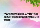今日更新阿里山的樱花什么时候开 2022台湾阿里山樱花路线推荐及注意事项