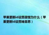 苹果更新id设置很慢为什么（苹果更新id设置啥意思）