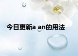 今日更新a an的用法