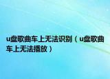 u盘歌曲车上无法识别（u盘歌曲车上无法播放）