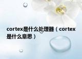 cortex是什么处理器（cortex是什么意思）