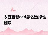 今日更新cad怎么选择性删除