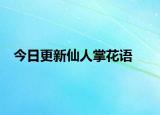 今日更新仙人掌花语