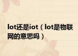 lot还是iot（lot是物联网的意思吗）