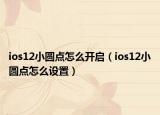 ios12小圆点怎么开启（ios12小圆点怎么设置）
