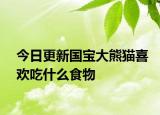 今日更新国宝大熊猫喜欢吃什么食物
