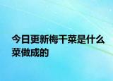 今日更新梅干菜是什么菜做成的