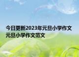 今日更新2023年元旦小学作文 元旦小学作文范文