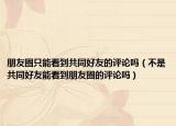 朋友圈只能看到共同好友的评论吗（不是共同好友能看到朋友圈的评论吗）