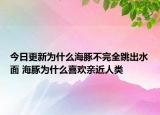 今日更新为什么海豚不完全跳出水面 海豚为什么喜欢亲近人类